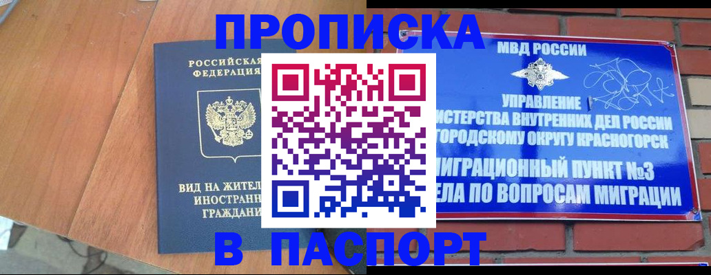 найти адрес прописки в Заинске
